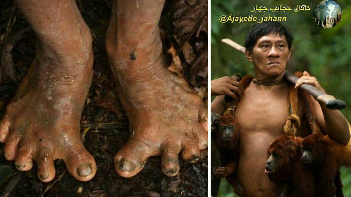 قبیله ای با روش زندگی تارزان