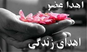 اهدای عضو معلم ۶۴ ساله بویراحمدی به ۳ نفر زندگی دوباره بخشید