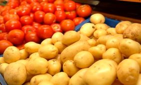گوجه نیامده به بازار از ایران خارج می‌شود