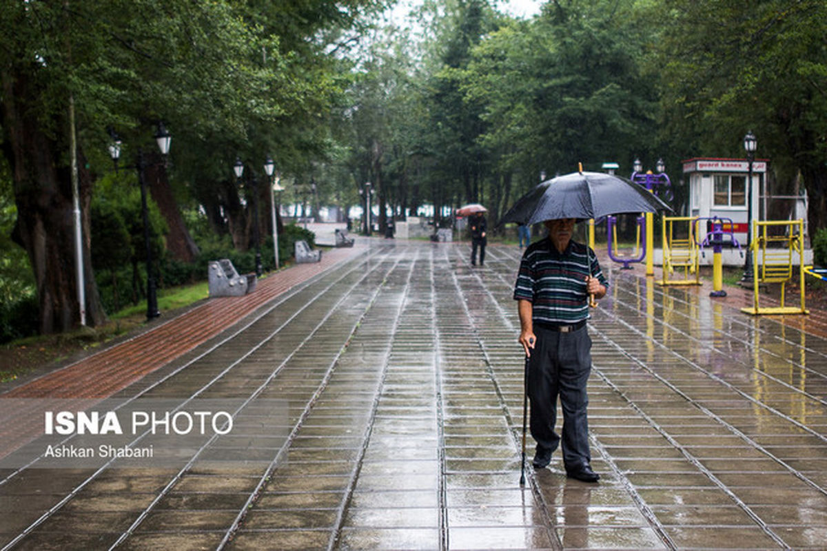 افزایش 64 درصدی بارش باران در همدان
