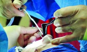 ۶۰ درصد درخواست های جراحی بینی کاذب است
