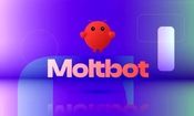 شبکه اجتماعی Moltbook مخصوص ربات‌های هوش مصنوعی معرفی شد
