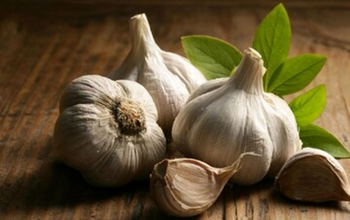 خواص شگفت انگیز سیر برای تیروئید