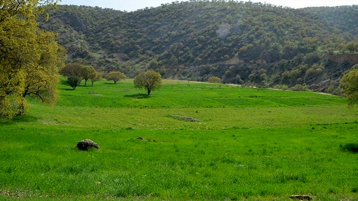 زمین خواری ۱۴۰ میلیارد ریالی در چالوس