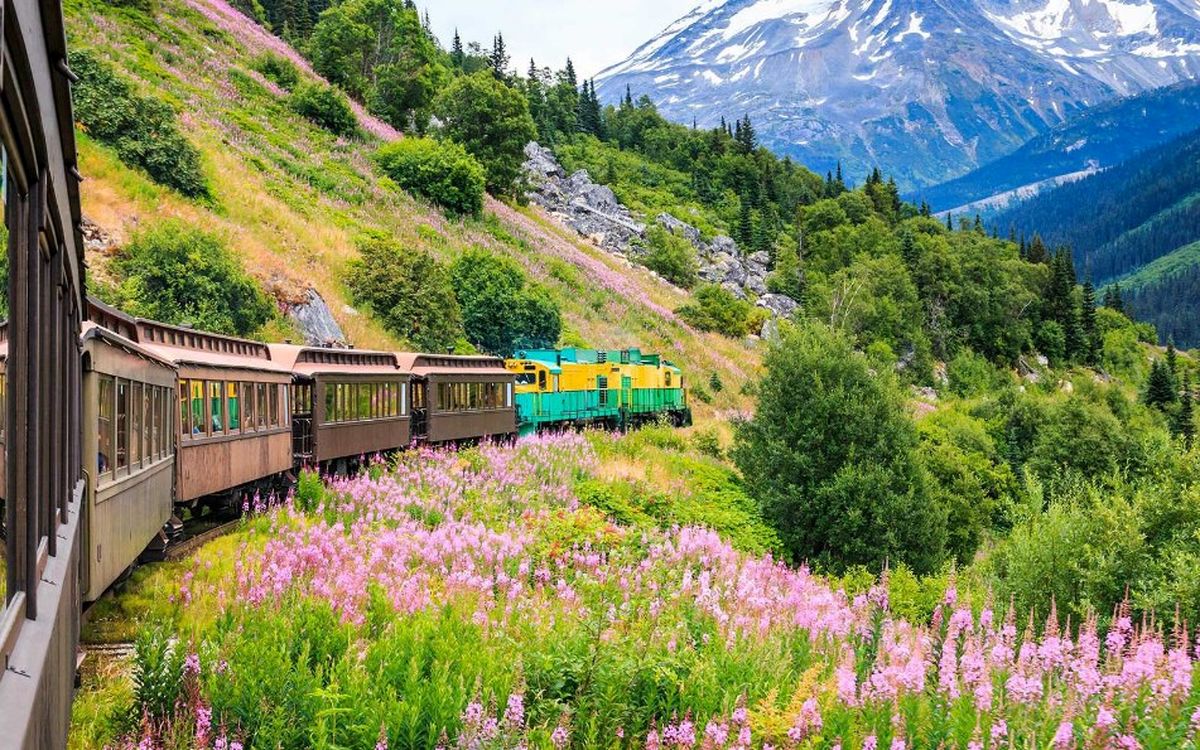 چرا سفر با قطار به حفظ محیط زیست کمک می‌کند؟