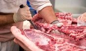 اختیارات ویژه استان‌های مرزی برای تامین کالاهای اساسی/تسهیل واردات دام زنده
