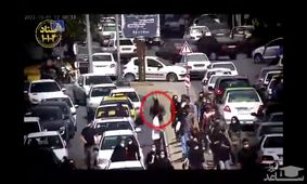 لحظه بازداشت و اعتراف کوکتل مولوتوف انداز در شیراز/ ویدئو
