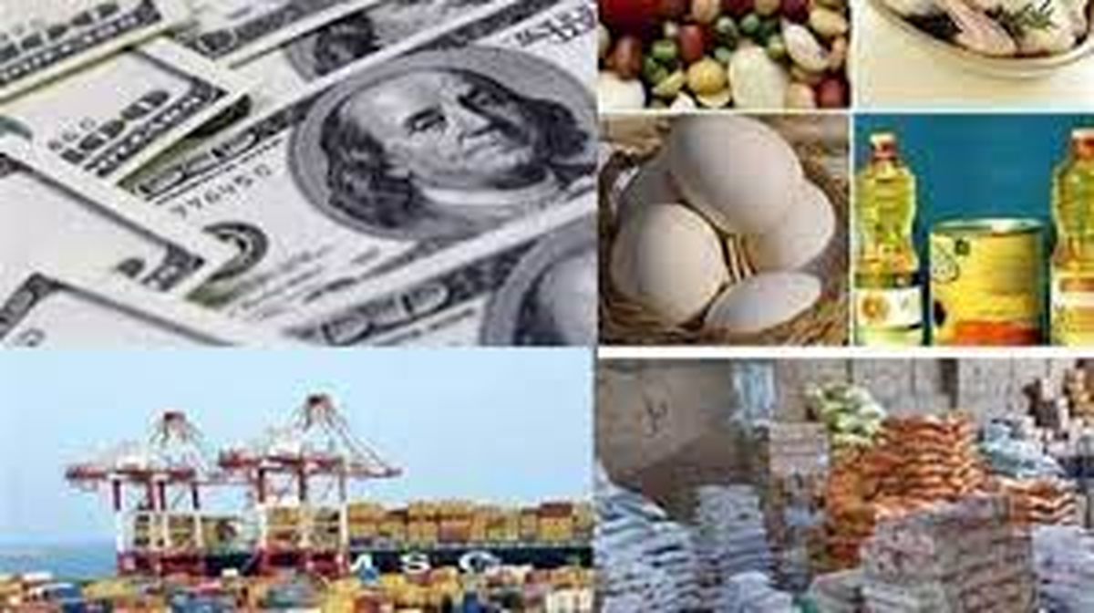 با حذف ارز دولتی، گرانی کالاهای اساسی قطعی است/ دولت برای جلوگیری از تورم به مردم یارانه پرداخت کند
