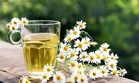 این گیاه استرس را از بین می‌برد