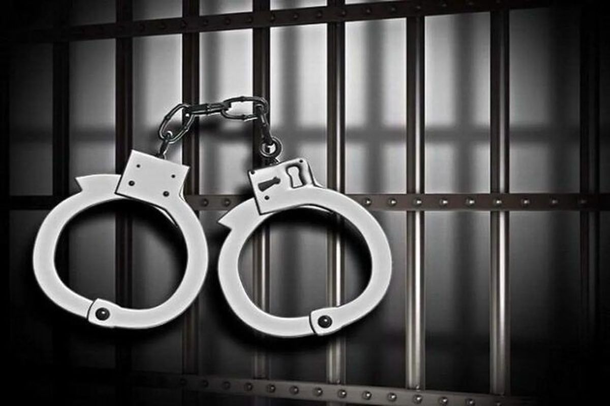 همسر متهم ردیف اول پرونده «رضایت خودرو» دستگیر شد

