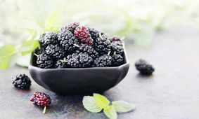 خواص شگفت انگیز توت سیاه