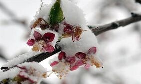 دمای هوا در خوزستان کاهش محسوس می‌یابد