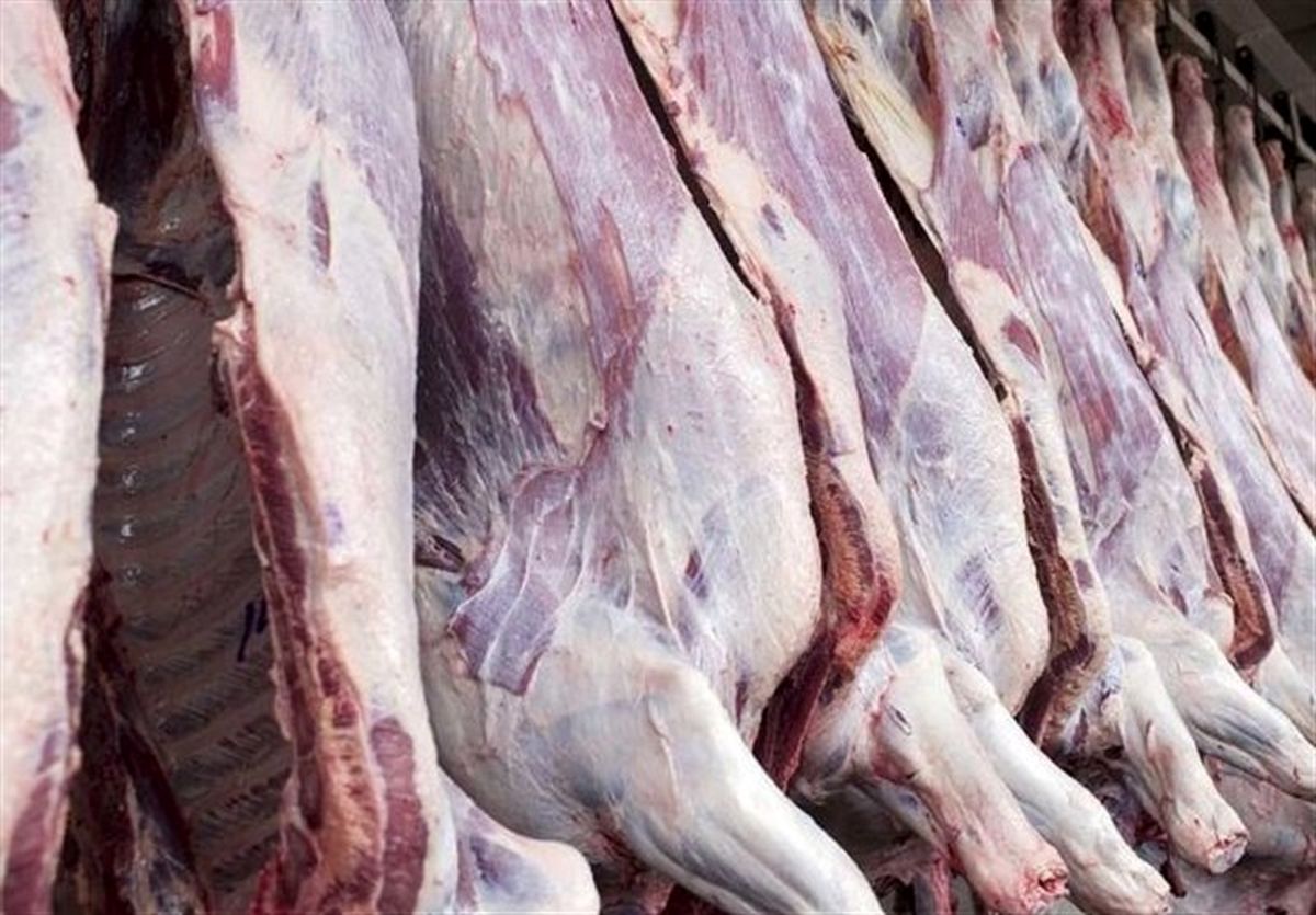 بانک مرکزی تا سقف ۲ میلیون یورو برای واردات گوشت و دام حواله می‌دهد