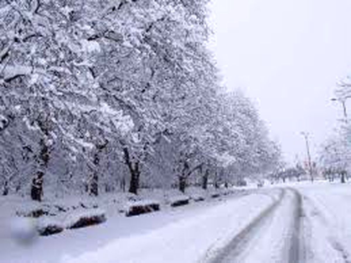 ویدئو/بارش برف در شهر سی سخت
