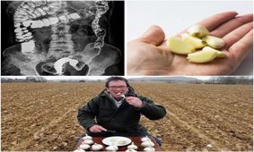 افزایش سیستم ایمنی بدن با سیر