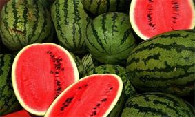 هندوانه شب یلدا کیلویی چند؟