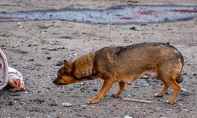 عکس های جالب و دیدنی
