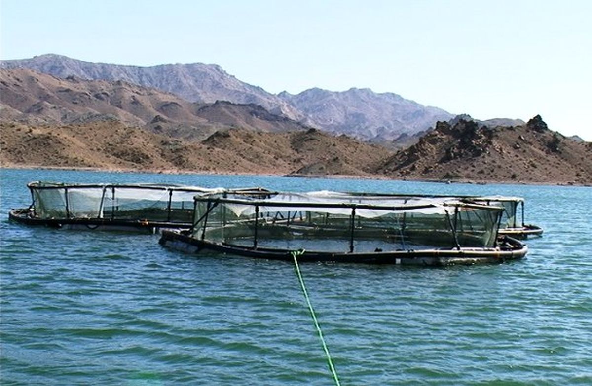 لزوم تغییر نگاه آب و برق خوزستان در اجرای طرح پروش ماهی در قفس