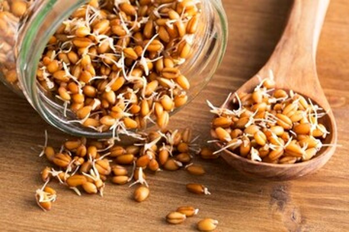 خوراکی که سبب افزایش طول عمر می‌شود