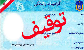۱۱ هزار گواهینامه در ایلام صادر شد