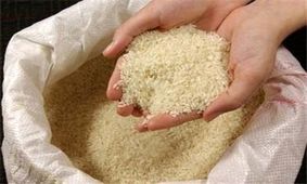 ۳ نوع برنج تنظیم بازار در خراسان جنوبی در حال توزیع است