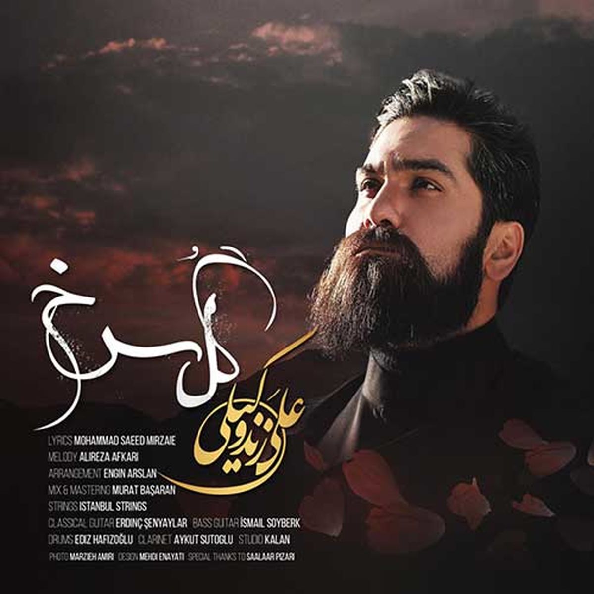 آهنگ جدید و دلنشین علی زند‌وکیلی به نام "گل سرخ"
