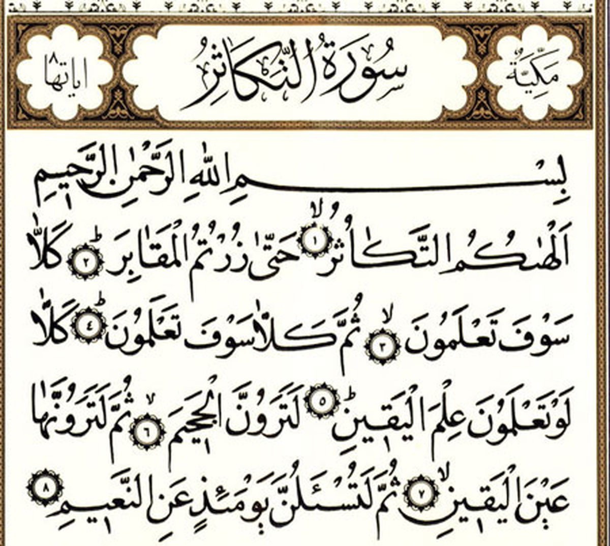 خواص و شان نزول سوره تکاثر