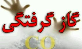 قاتل نامرئی در مرودشت قربانی گرفت