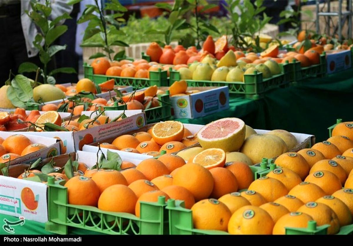 ۱۱۵۰ تن میوه شب عید از ۲۵ اسفند در قم توزیع می‌شود