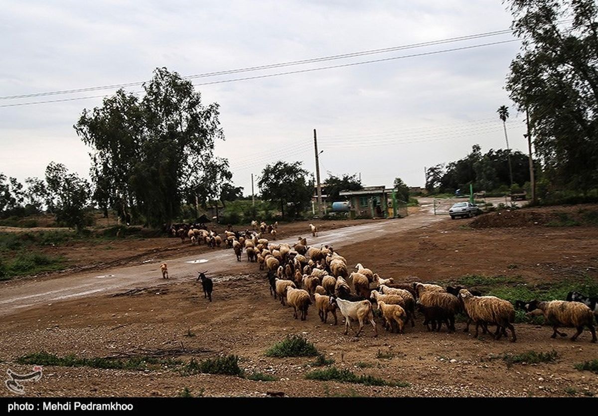 دستور تخلیه روستاهای زاویه دزفول صادر شد