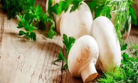 اطلاعیه وزارت بهداشت در مورد مصرف قارچ