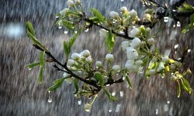 موج پربارش دیگری 7 روز دیگر وارد کشور می شود+نقشه بارشی