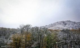 ۵۰ روستای لاریجان آمل سفیدپوش شد