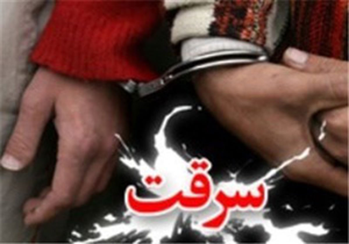 کشف ۵۰۰ میلیون ریال اموال مسروقه از مخفیگاه سارقان