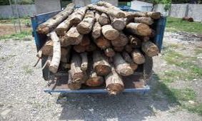 کشف 3 تن چوب قاچاق در دهاقان