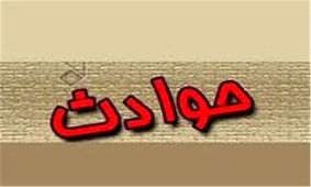 سلاخی همکار به خاطر نیم کیلو سیب زمینی