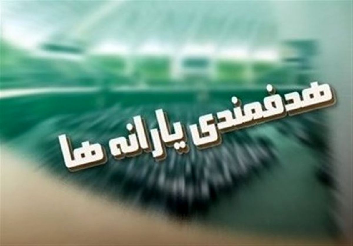 مصوبه مجلس با هماهنگی سازمان برنامه دور زده شد؟