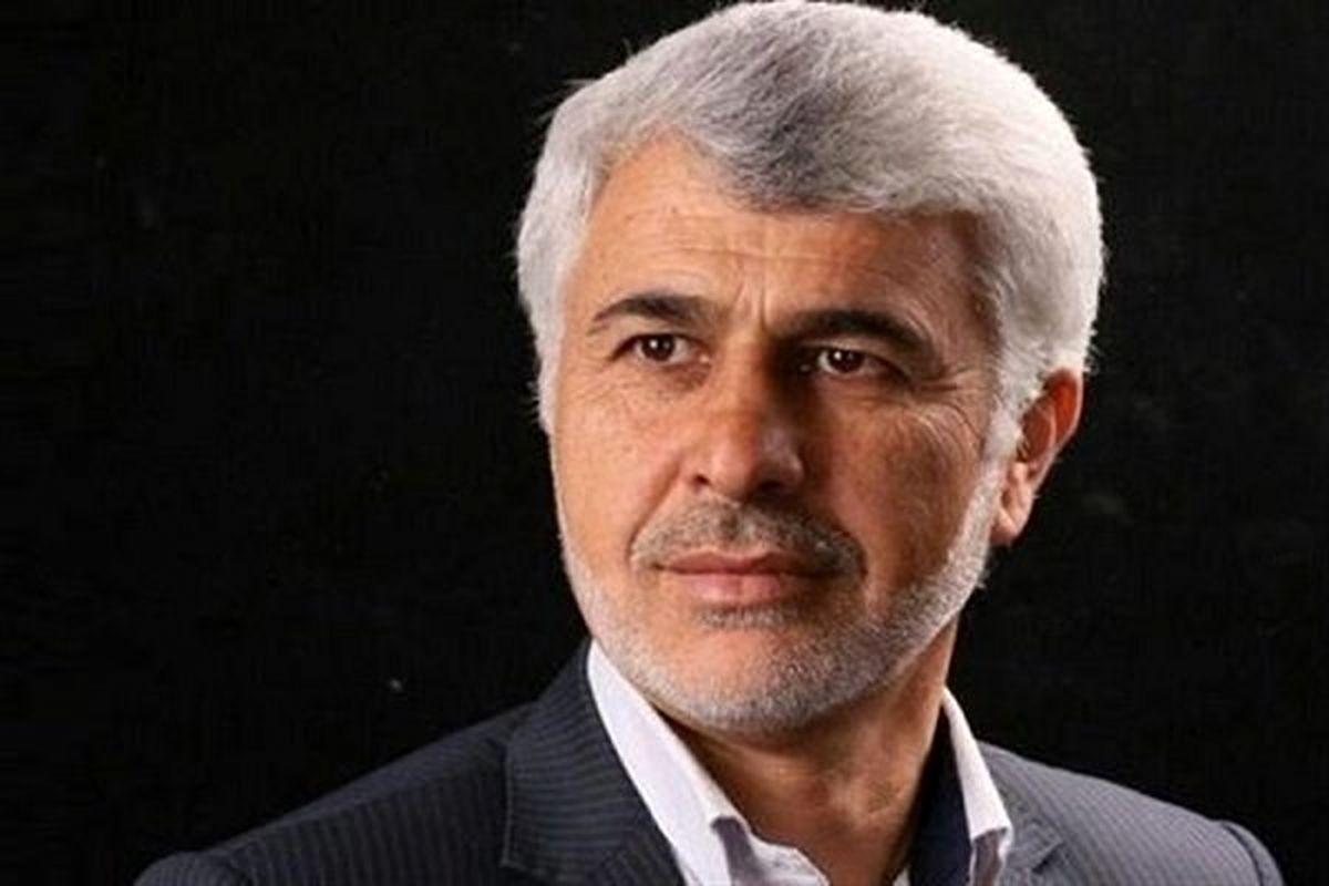 استانی شدن انتخابات منتفی شد/مجلس اصرار نمی کند