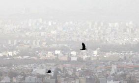 کیفیت هوا در سر پل‌ ذهاب و قصرشیرین اضطراری شد