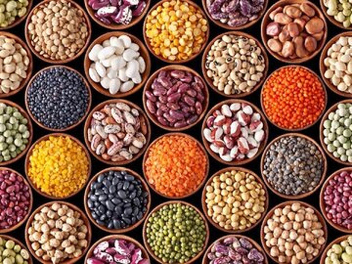 فیبر بالا و کلسترول صفر را در این غذاها جست و جو کنید