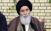 برادر آیت الله سیستانی دارفانی را وداع گفت

