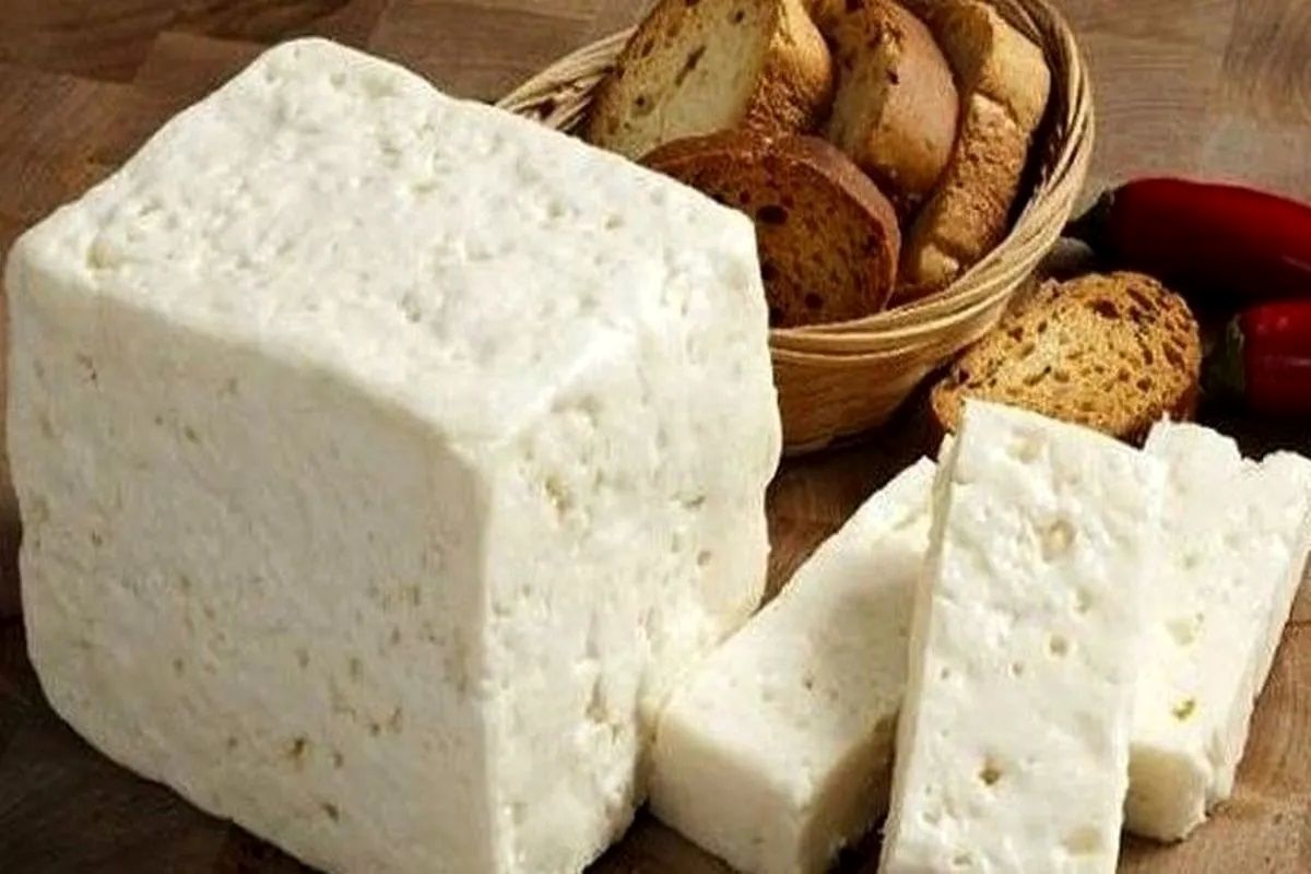 دانشمندان به دنبال ساخت یک نوع پنیر گیاهی اند

