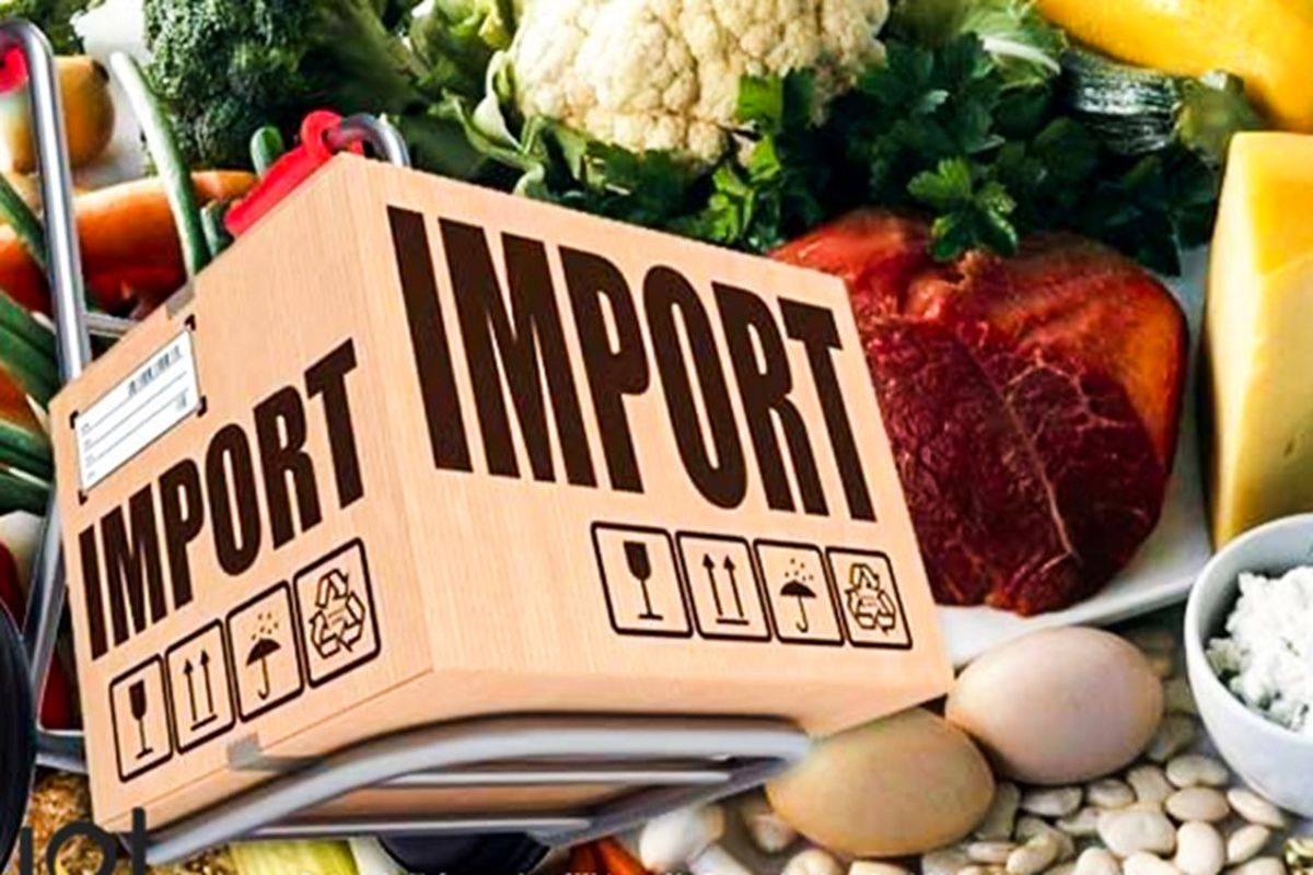 آشنایی با نکات مهم و مراحل واردات مواد غذایی
