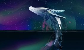نهنگ های ارز دیجیتال چه کسانی هستند؟