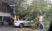 توصیه‌های پلیس درباره ورزش باد و طوفان در تهران/ در محل‌های ناامن توقف نکنید