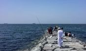 العربیه ادعا کرد؛ ایران پیشنهاد بازگشایی تنگه هرمز را در ازای دریافت غرامت از آمریکا ارائه داده است