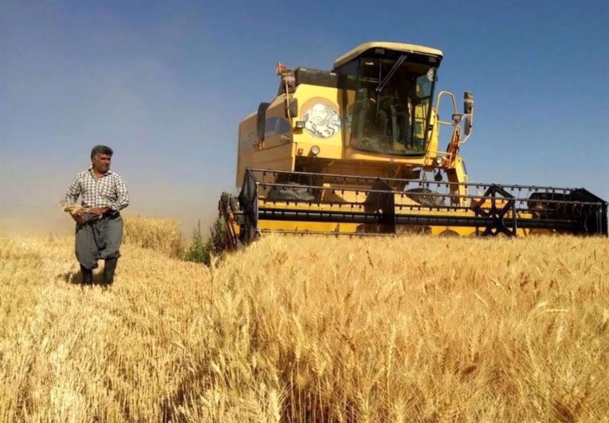 واردات برنج متوقف است