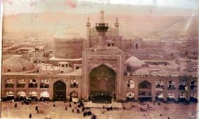 شتر پناهنده به حرم امام رضا(ع) نجات پیدا کرد