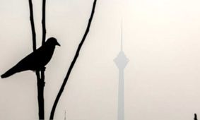مدارس ابتدایی تهران شنبه غیر حضوری شد؛ زوج و فرد از درب منزل

