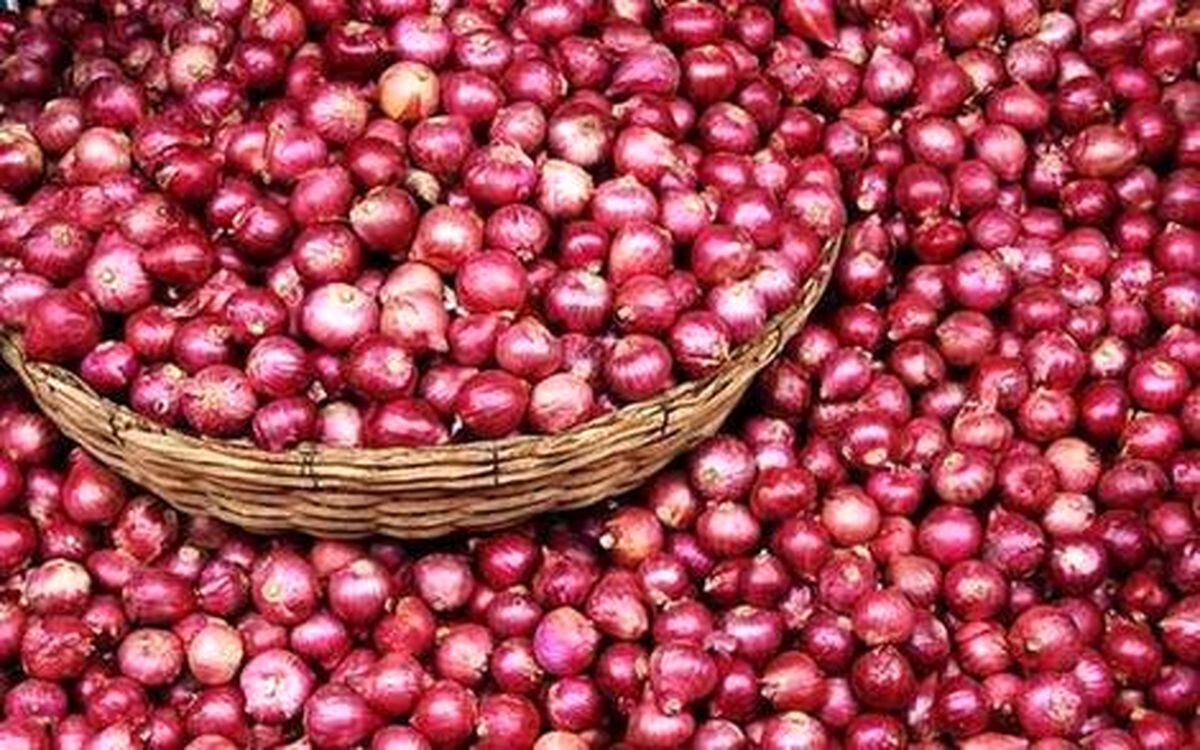 پیاز همانند دلار وارد کانال ۴۰ هزار تومان شد/ کورس پیاز و موز

